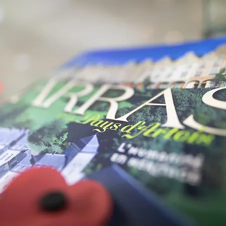 Express By Ihg 3* Arras